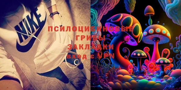 дурь Киреевск