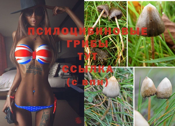 дурь Киреевск