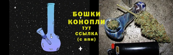 дурь Киреевск